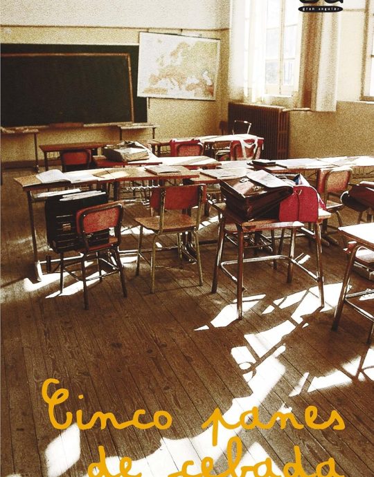 CINCO PANES DE CEBADA-GRAN ANGULAR N.º 17 :-LUCIA BAQUEDANO AZCONA 9788434808751 EDICIONES SM 2002 (USADO)