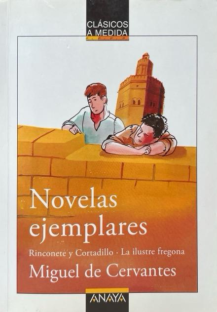 NOVELAS EJEMPLARES: RINCONETE Y CORTADILLO; LA ILUSTRE FREGONA CLASICOS A MEDIDA 9788466751728 MIGUEL DE CERVANTES SAAVEDRA ANAYA 2006 (NUEVO)