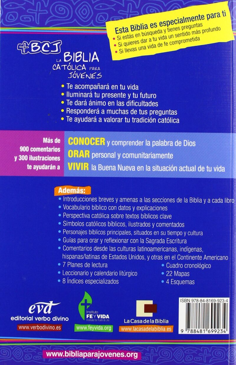 LA BIBLIA CATÓLICA PARA JOVENES:-INSTITUTO FÉ Y VIDA 9788481699234 PPC VERBO DIVINO 2012 (USADO) - Imagen 2