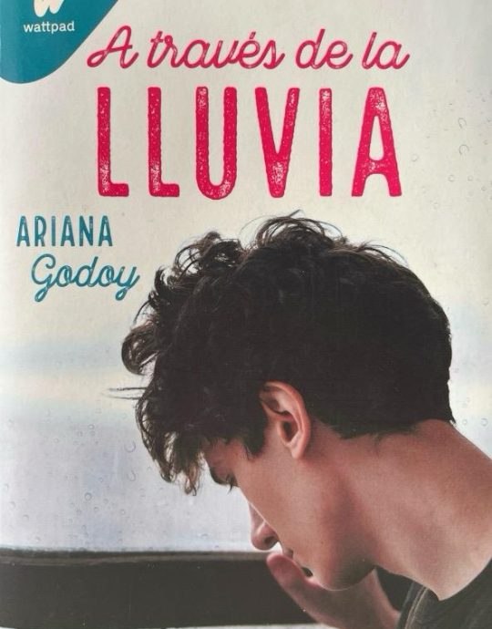 A TRAVES DE LA LLUVIA-TRILOGIA HERMANOS HIDALGO 3-ARIANA GODOY 9788418483196 MONTENA 2022 (NUEVO)
