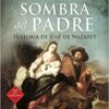 LA SOMBRA DEL PADRE: HISTORIA DE JOSE DE NAZARET-JAN DOBRACYNSKI 9788490614808 PALABRA 2016 (USADO)