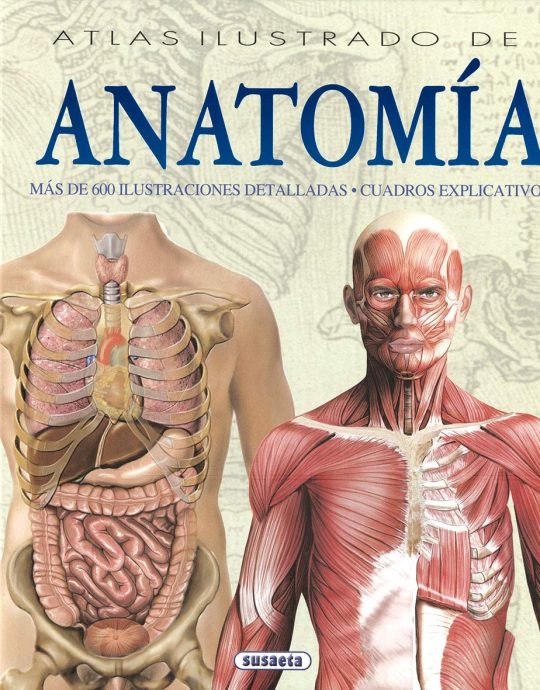 ATLAS ILUSTRADO DE ANATOMÍA:-ADRIANA RIGUTTI 9788430534784 SUSAETA EDICIONES 2002 (NUEVO)