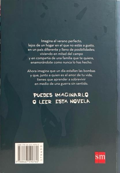 MI VIDA AHORA:-MEG ROSOFF 9788467590760 EDICIONES SM 2016 (USADO) - Imagen 2