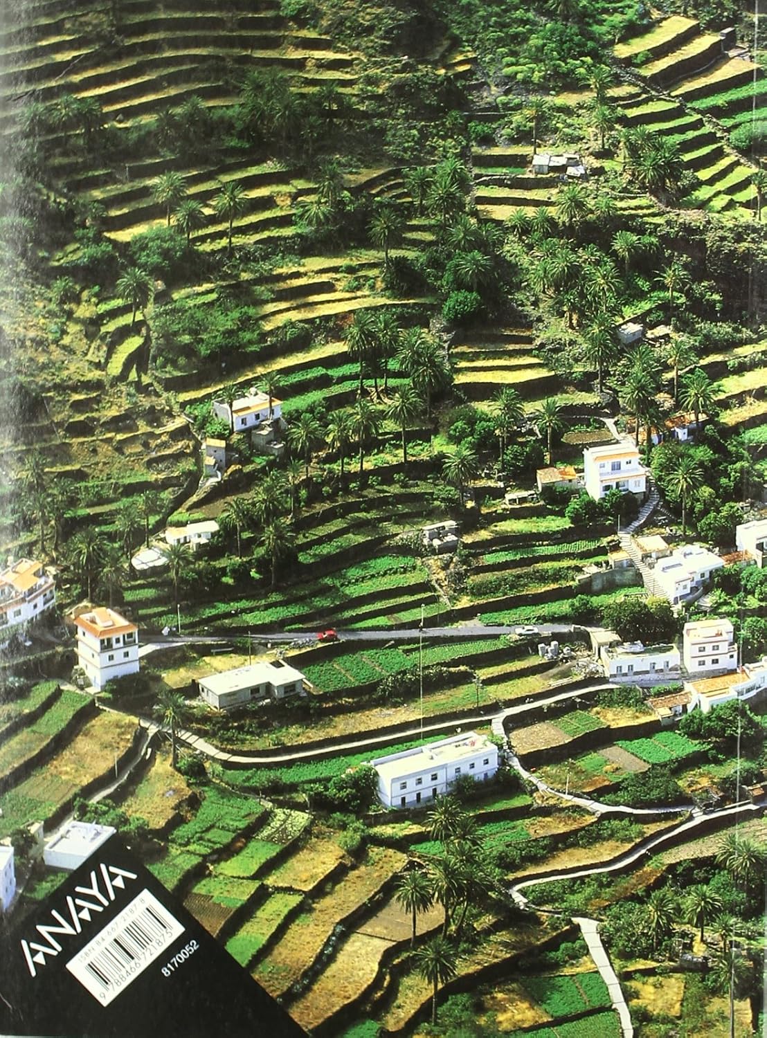 2º BACHILLERATO GEOGRAFIA:-CONCEPCION MUÑOZ DELGADO Y MERIDA 9788466721875 ANAYA 2003 (USADO) - Imagen 2