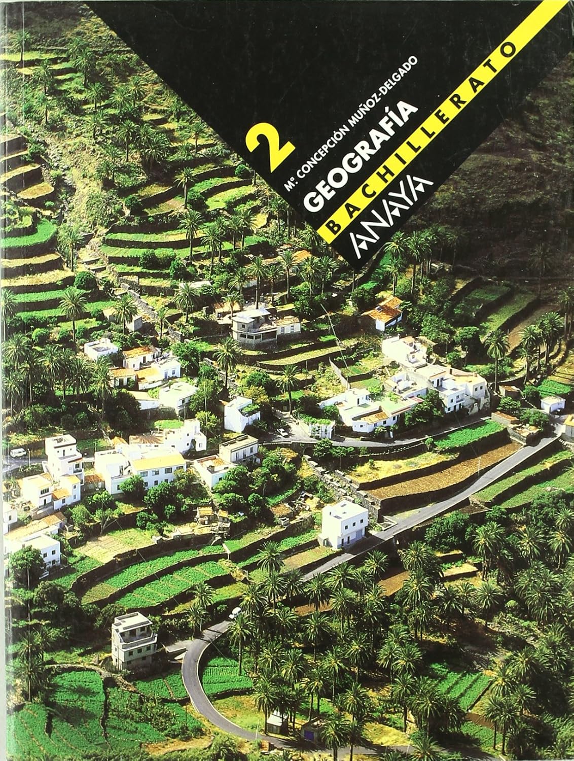 2º BACHILLERATO GEOGRAFIA:-CONCEPCION MUÑOZ DELGADO Y MERIDA 9788466721875 ANAYA 2003 (USADO)