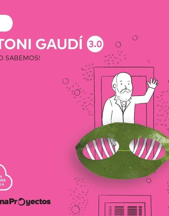 INFANTIL 4 AÑOS NIVEL 2 GAUDI 3.0 CUÁNTO SABEMOS 9788468075488 SANTILLANA 2024 (NUEVO)