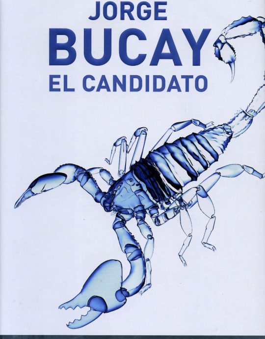 EL CANDIDATO-PREMIO TORREVIEJA 2006):-JORGE BUCAY 9788401336195 PLAZA & JANES 2006 (USADO)