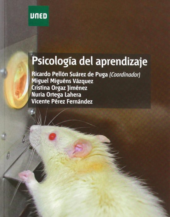 PSICOLOGÍA DEL APRENDIZAJE (GRADO):-QUINTINA MARTIN MORENO CERRILLO 9788436267273 UNED 2021 (USADO)