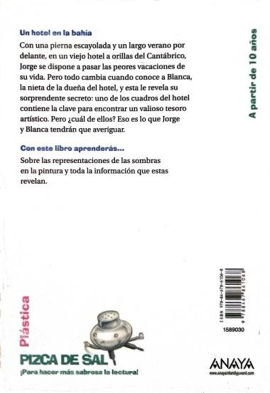 UN HOTEL EN LA BAHIA-PIZCA DE SAL SERIE VERDE:-ANA ALONSO 9788467861068 ANAYA 2014 (USADO) - Imagen 2