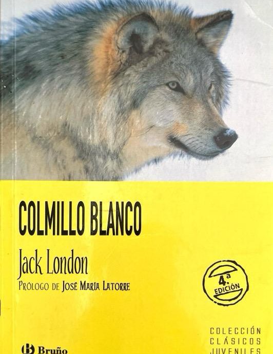 COLMILLO BLANCO-COLECCIÓN CLÁSICOS JUVENILES:-JACK LONDON 9788421693155 BRUÑO 2004 (USADO)