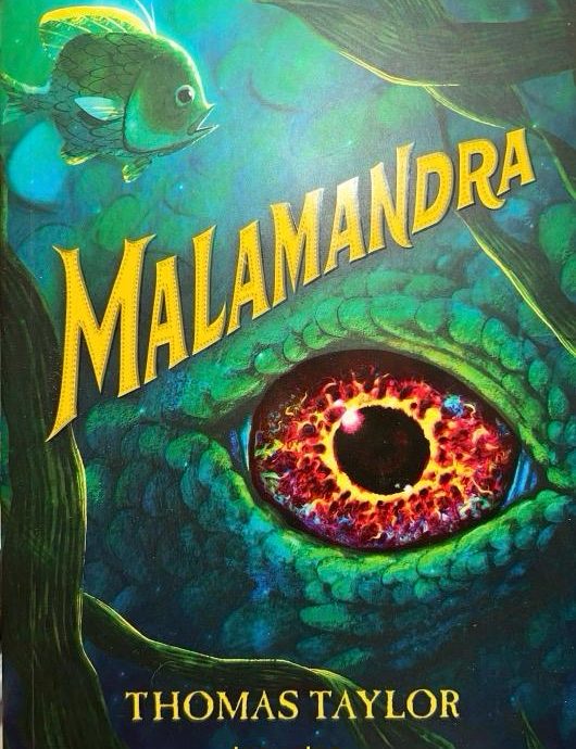 MALAMANDRA:-THOMAS TAYLOR 9788491223542 SANTILLANA LOQUELEO 2019 (USADO)