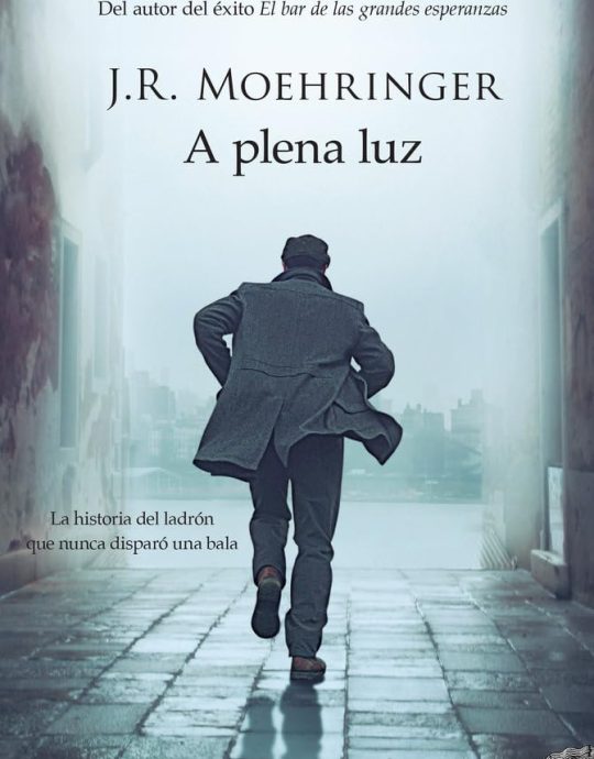 A PLENA LUZ:-JOHN JOSEPH MOEHRINGER  9788416261390 DUOMO NEFELIBATA EDICIONES 2019 (USADO)