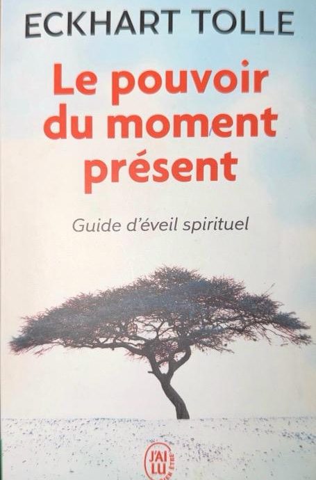 LE POUVOIR DU MOMENT PRESENT : GUIDE D EVEIL SPIRITUEL:-ECKHART TOLLE 9782290020203 FLAMMARION 2010 (USADO)